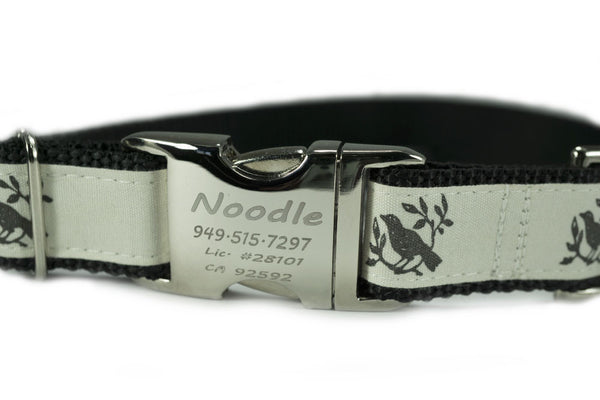 Designer Engraved Buckle Dog Collar