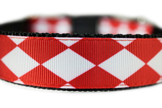 Harlequin Dog Collar