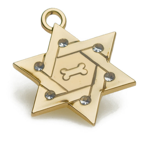 Star of David Pet Charms